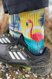"Sunshine State" Florida Sox
